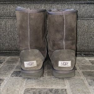 COPY - Uggs - Classic Short